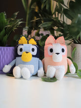 Load image into Gallery viewer, Blue Heeler and Red Heeler Puppies