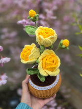 Load image into Gallery viewer, Rose pot