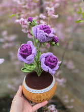 Load image into Gallery viewer, Rose pot