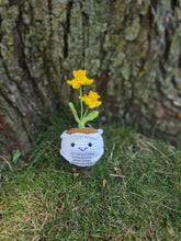 Load image into Gallery viewer, Daffodil - for Canadian Cancer Society