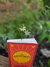 Load image into Gallery viewer, Leaf bookmark