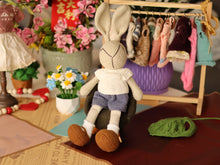 Load image into Gallery viewer, Bunny