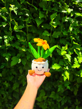 Load image into Gallery viewer, Daffodil - for Canadian Cancer Society