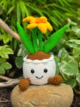 Load image into Gallery viewer, Daffodil - for Canadian Cancer Society