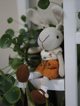 Load image into Gallery viewer, Bunny