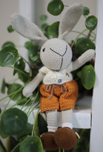 Load image into Gallery viewer, Bunny