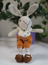 Load image into Gallery viewer, Bunny