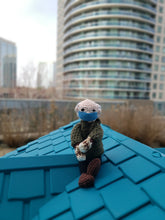 Load image into Gallery viewer, Bernie Sanders